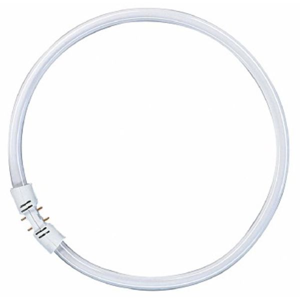 Osram Lumilux T5 FC Pyöreä loisteputki 840 22W