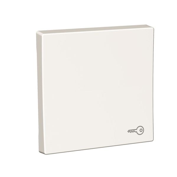 Schneider Electric Exxact Vipupainike valkoinen, symbolilla Avainsymboli