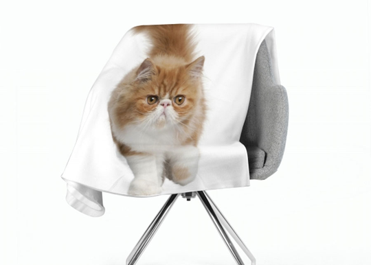 Torkkupeitto Fluffy Cat 150x200 cm