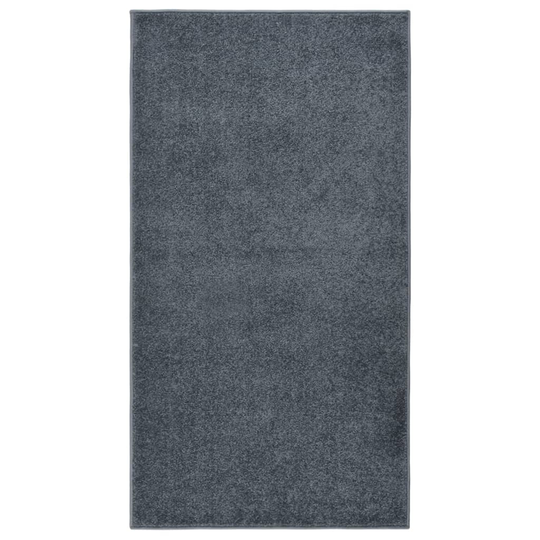 vidaXL Lyhytnukkainen matto 80x150 cm antrasiitti