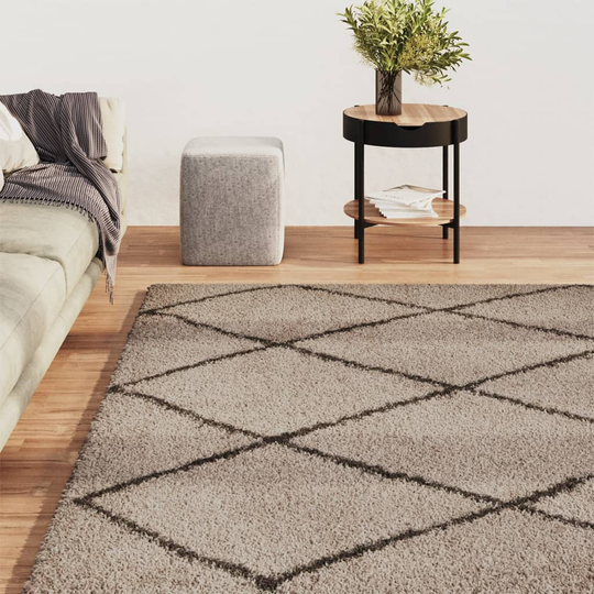 vidaXL Pörrömatto korkeanukkainen beige ja antrasiitti 200x290 cm