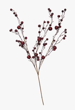 Big red berries oksa punainen