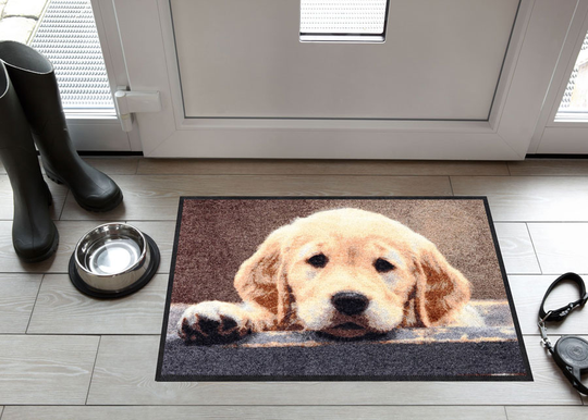 Ovimatto NOSY DOG 50x75 cm