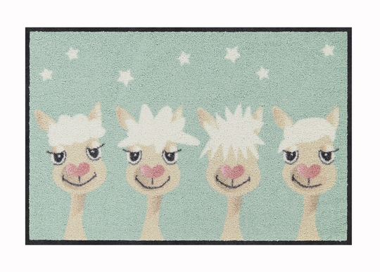 Matto Perfect Hair Day 50x75 cm