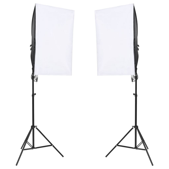 vidaXL Ammattimaiset studiovalot 2 kpl 40x60 cm
