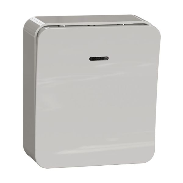 Schneider Electric Exxact Ohjauskytkin 250 V, pinta-asennus Sulkeutuva kosketin