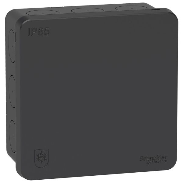 Schneider Electric IMT35336 Kytkentärasia IP65, 2K Antrasiitti