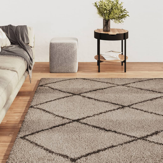 vidaXL Pörrömatto korkeanukkainen beige ja antrasiitti 140x200 cm
