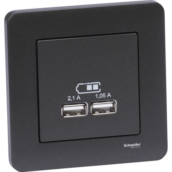 Schneider Electric Exxact Latausasema upotettava, 2 USB Antrasiitti