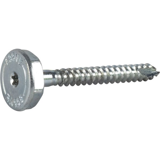 ESSVE 511287 Tasonsäätöruuvi 7 x 65 mm, FZB, TX30/HEZ20 2 kpl