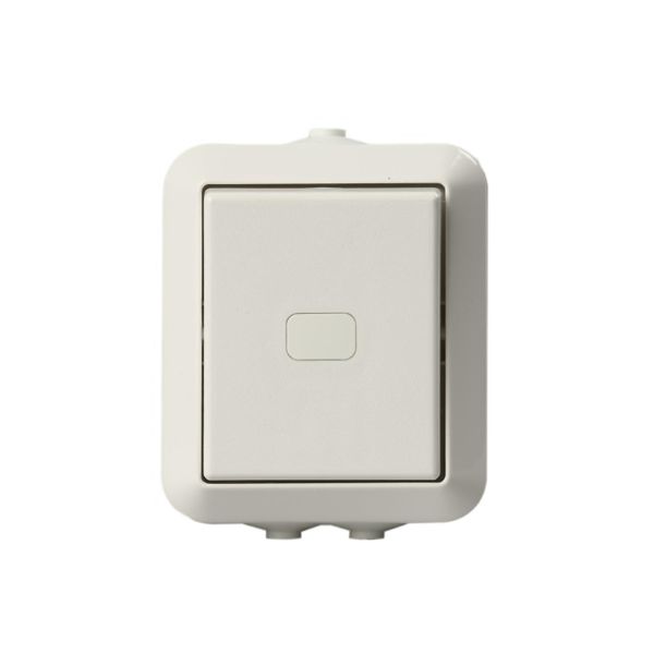 ABB 1066SW Kytkin pinta-asennettava, IP44 Porras