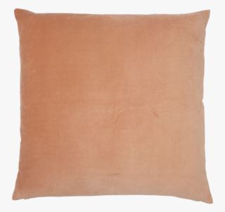 Sanna koristetyynynpäällinen kameli