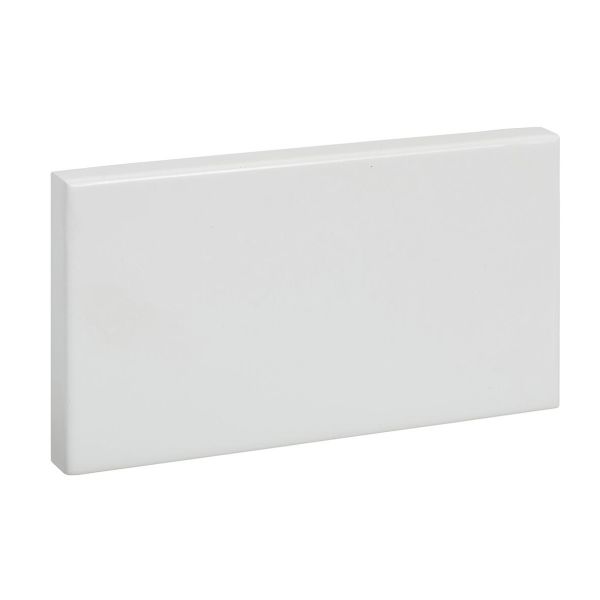 Schneider Electric INS5541601 Päätykappale 72 x 130 mm, epäsymmetrinen
