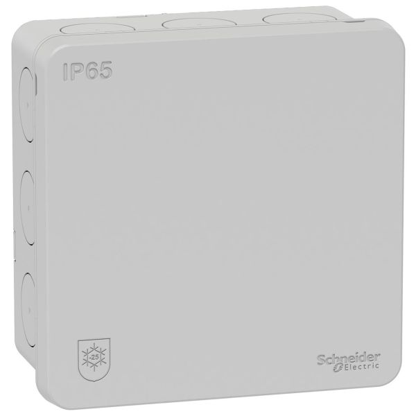 Schneider Electric IMT35337 Kytkentärasia IP65, 2K Vaaleanharmaa