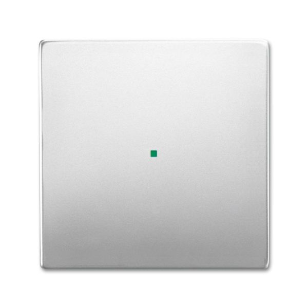 ABB Pure 6220-0-0533 Vipupainike kiillotettu ruostumaton teräs Yksiosainen