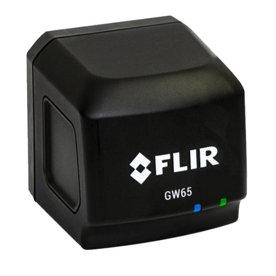 Flir GW65 Etävalvontayhdyskäytävä mallille FLIR SV87-KIT