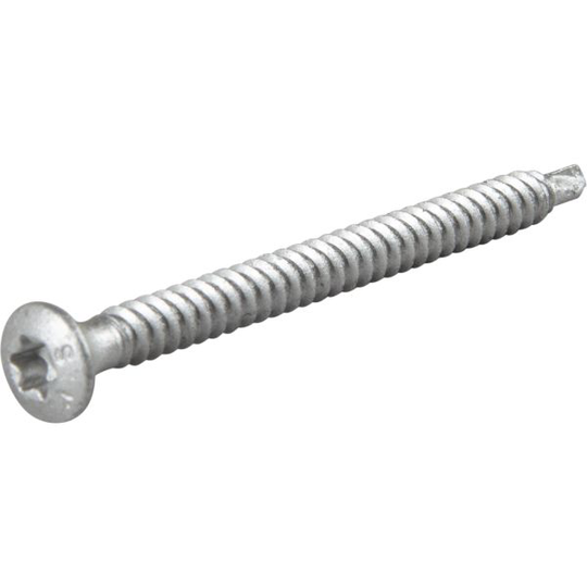 ESSVE 545406 Kattoruuvi 4,8 mm Ø, BS, TX25, ruspert 60 mm, 500 kpl