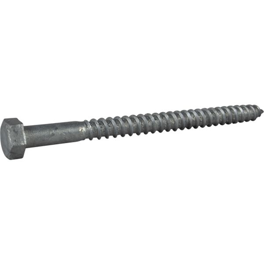 ESSVE 504473 Puuruuvi Ø12 mm, ranskalainen, T6S, FZV 160 mm, 20 kpl