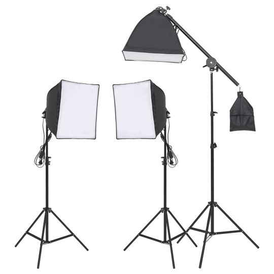 vidaXL Studiovalosarja kolmijaloilla ja softboxilla