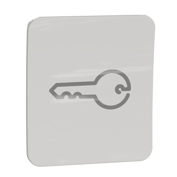 Schneider Electric WDE015714 Vipupainike avainsymbolilla