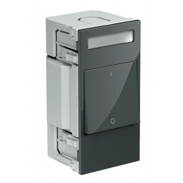 Schneider Electric INS66101 Kytkin 2-napainen Tummanharmaa