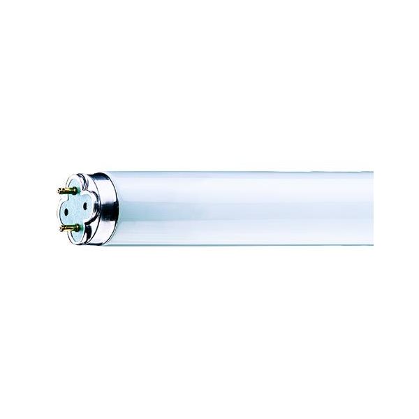 Philips MASTER TL-D Xtreme Loisteputki G13, lämmin valkoinen