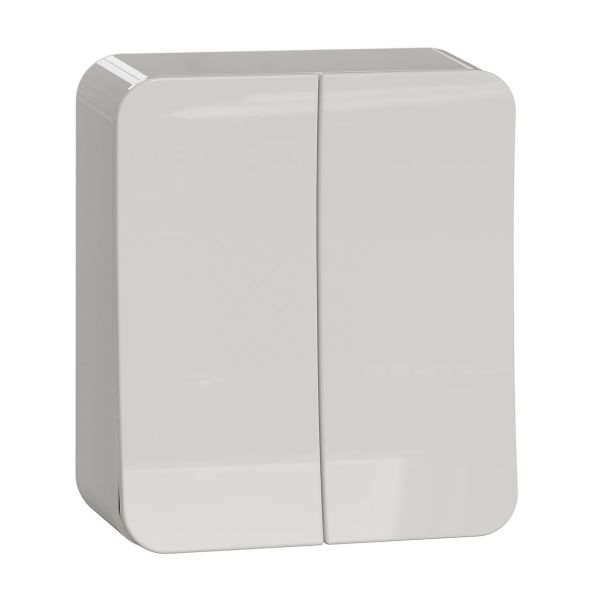 Schneider Electric Exxact Vaihtokytkin 250 V, pinta-asennus Kaksoisportaat