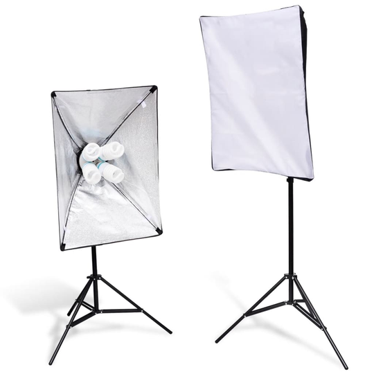 vidaXL Valoteline ja softbox 2 kpl