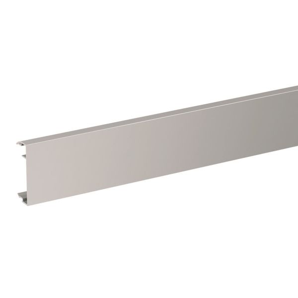 Schneider Electric INS13950 Etuosa 50 x 2500 mm Alumiini/luonnonvärinen