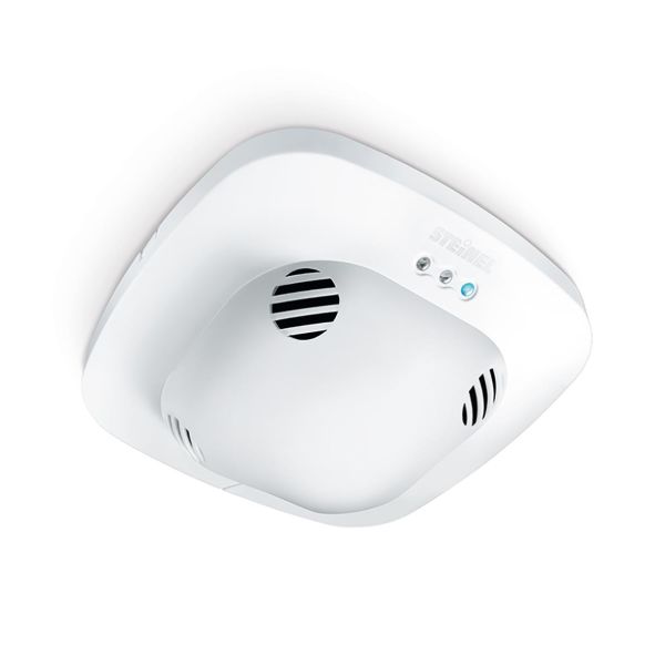 Steinel 7935 Läsnäoloanturi 360°, IP20, 240V 1 kanava, ilman LVI-ohjausta