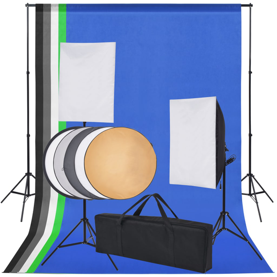 vidaXL Valokuvastudiosetti 5 värillistä taustaa ja 2 softboxia