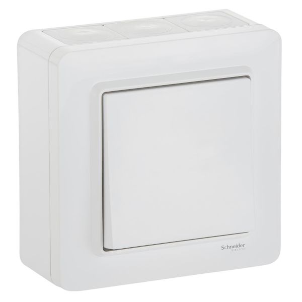 Schneider Electric WDE002975 Vaihtokytkin ulkokierre, IP44, valkoinen porras/1-napainen