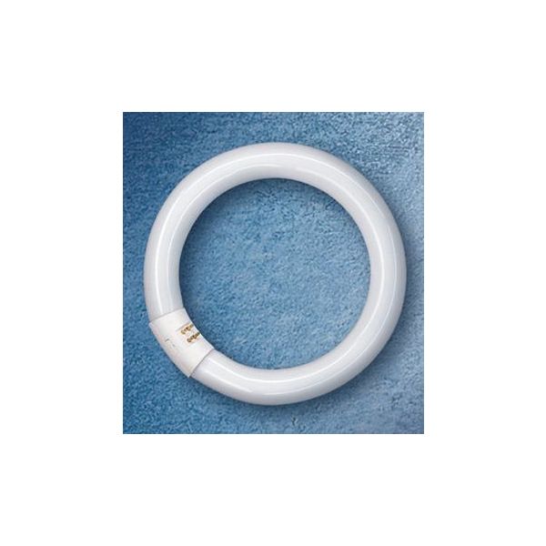 Osram LUMILUX T9 C Rengasloistelamppu G10Q 22W/827