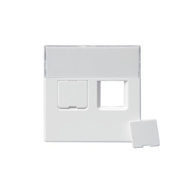 ABB 1819-81 Keskiölevy 2 x RJ45 Antrasiitti
