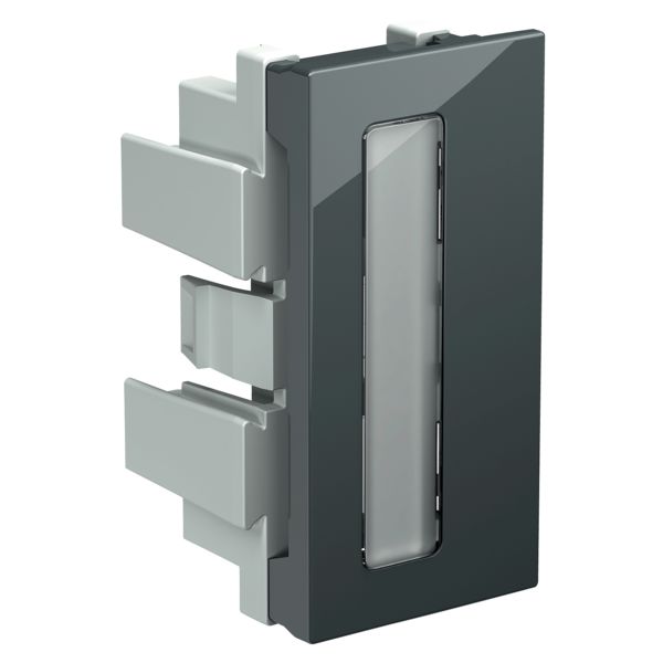 Schneider Electric INS60002 Merkki-ikkuna valkoinen, merkkikyltillä Harmaa