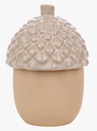 Acorn korurasia hiekka