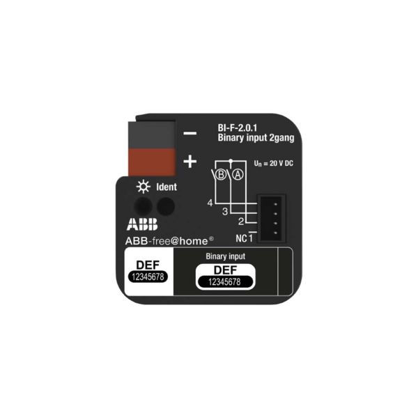 ABB Free@home 2CDG510002R0011 Binäärivastaanotin upotettava 2 kanavaa
