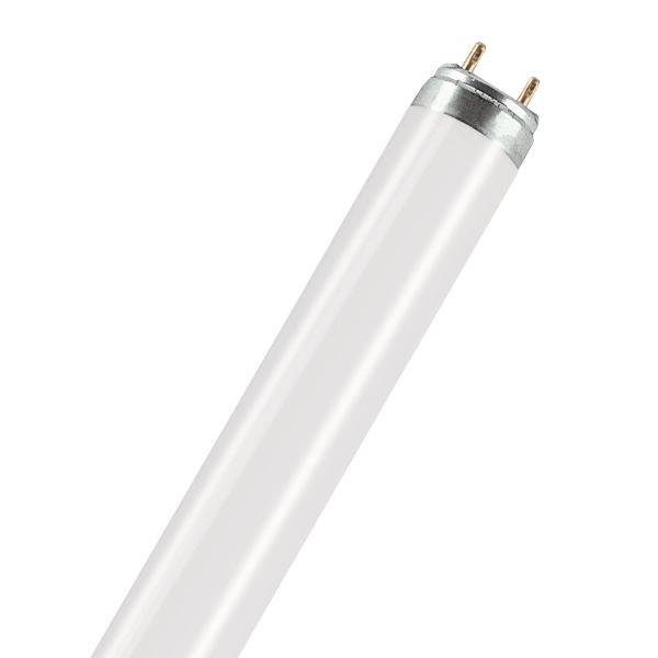 Osram Lumilux Natura Erikoisloisteputki tuoretuotteille 36W, 1200 mm
