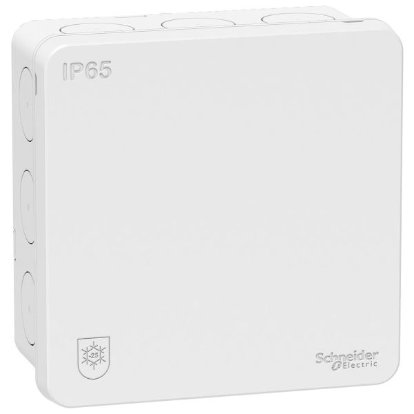 Schneider Electric IMT35334 Kytkentärasia IP65, 2K valkoinen
