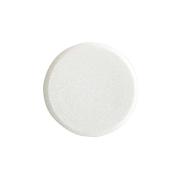 Ejot 931026 Karmiruuvin peitetulppa 200 kpl, 14/19 Beige/mänty