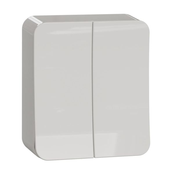 Schneider Electric Exxact Vaihtokytkin 250 V, kruunukytkin Ruuviliitäntä