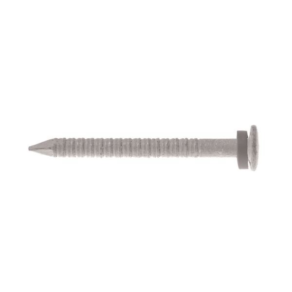 Gunnebo Z400621 Peltinaula 30 x 2,5 mm, 250 kpl Musta