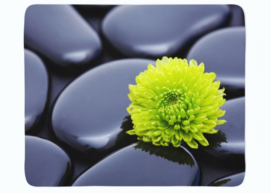 Torkkupeitto Chrysanthemum Harmony 150x200 cm