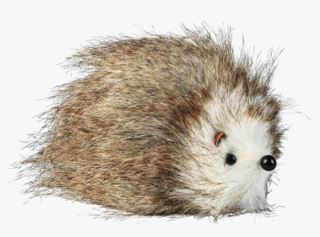 Hedgehog koriste moniväri