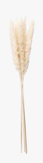 Pampas small olki luonnonvalkoinen