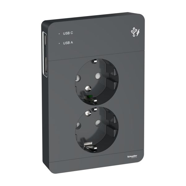 Schneider Electric Exxact Pistorasia USB liitin Antrasiitti