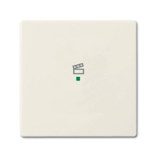 ABB Future Linear 6220-0-0587 Yksiosainen vipupainike tilanneohjaus Chalet-white