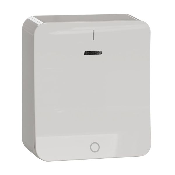 Schneider Electric Exxact Ohjauskytkin 250 V, pinta-asennus 2-napainen vaihtokytkin