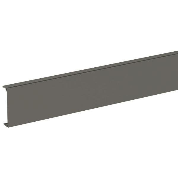 Schneider Electric INS12901 Etuosa 50 x 2500 mm Muovi/harmaa