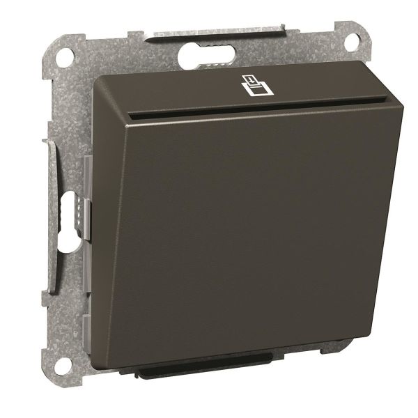 Schneider Electric Exxact Hotellikorttikytkin 2-napainen Antrasiitti